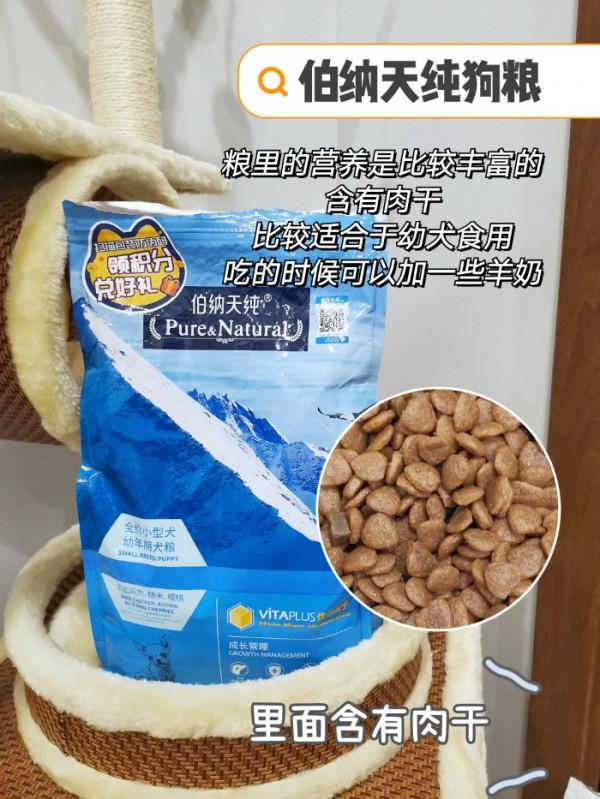 球球各位做好功課，狗糧千萬別瞎選