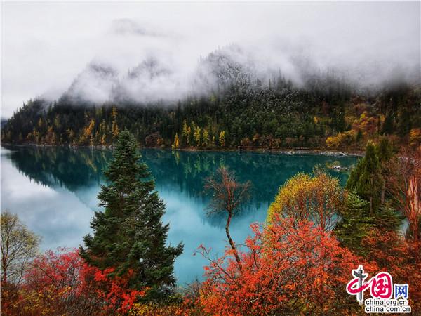 九寨溝金秋最美時 燻醉遊人不知歸 九寨溝金秋最美時 燻醉遊人不知歸