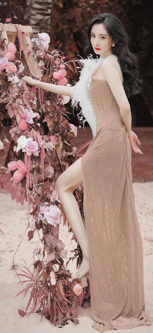 iPhone13系列桌布精選：楊冪