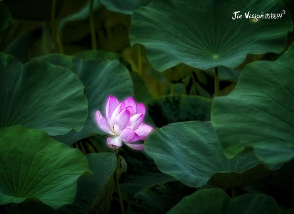 親身“經歷”西安事變 唐皇與楊妃為你起舞 這座昔日皇城絕不能錯過 親身“經歷”西安事變 唐皇與楊妃為你起舞 這座昔日皇城絕不能錯過