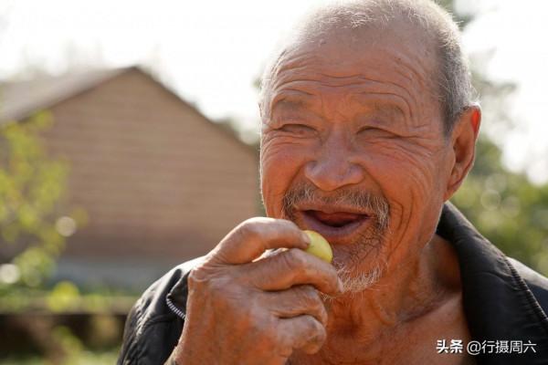 河南大爺養1頭騾子種30畝地，能吃能幹，午飯吃4個雞蛋2碗麵