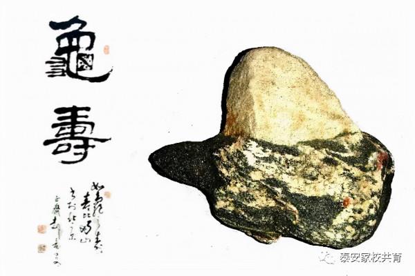 不少家庭教育理念，都是在忽悠家長，小心上當