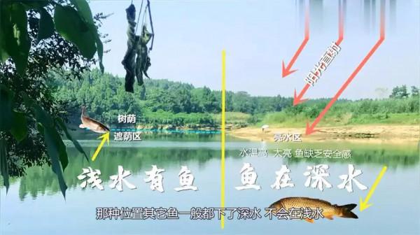 野釣不能錯過的10種絕佳釣位