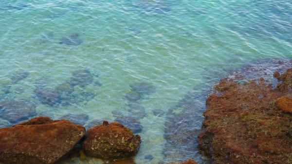 一個人來北海看海了 一個人來北海看海了
