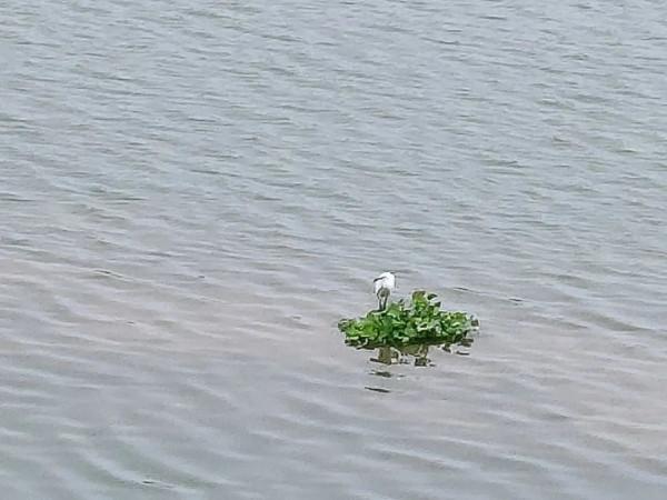 朋友圈2021年第31期