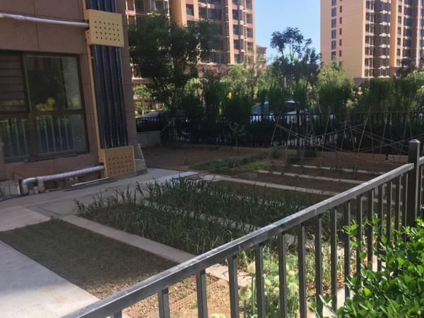 贈送閣樓的頂樓和帶花園的一樓，哪個更好？建築專家給出專業回覆