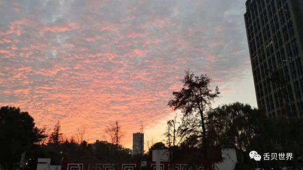 重複的意義：新年瑜伽108拜日式