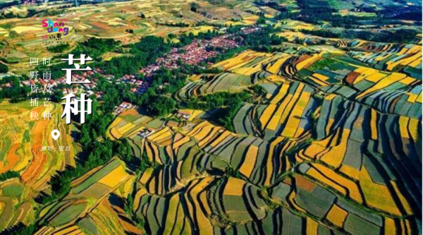 用二十四節氣開啟山東，齊風魯韻美如畫