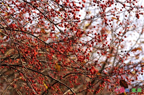 在怪山體驗,秋天的正確開啟方式 在怪山體驗,秋天的正確開啟方式