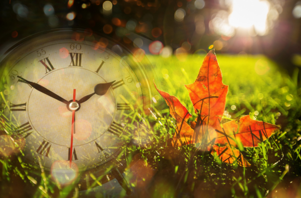 我們越來越愛回憶了,十二首憶舊的詩詞,懷念曾經的美好 我們越來越愛回憶了,十二首憶舊的詩詞,懷念曾經的美好