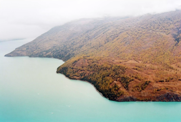 國內最佳賞秋色的地點