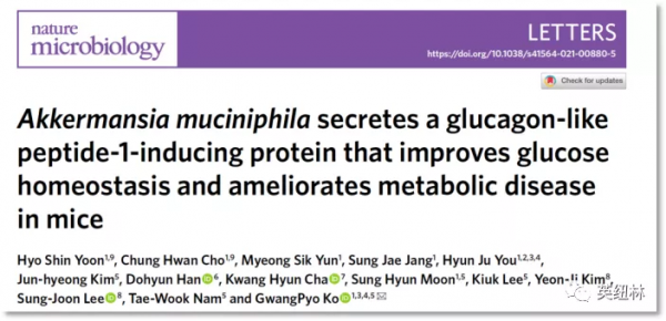 養好腸道菌,是最好的健康之道 養好腸道菌,是最好的健康之道