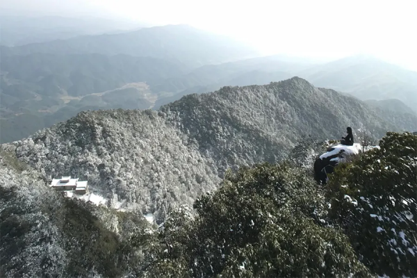 九九消寒，最適合做這些風雅小事