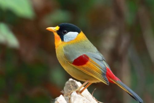 20個冷知識:也許你不信,但都是真實的 20個冷知識:也許你不信,但都是真實的