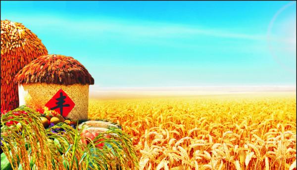 唐曉豔：獨家技術研發&OpenCurlyDoubleQuote;潔田稻&rdquo;，讓稻田雜草不生，且不傷秧苗