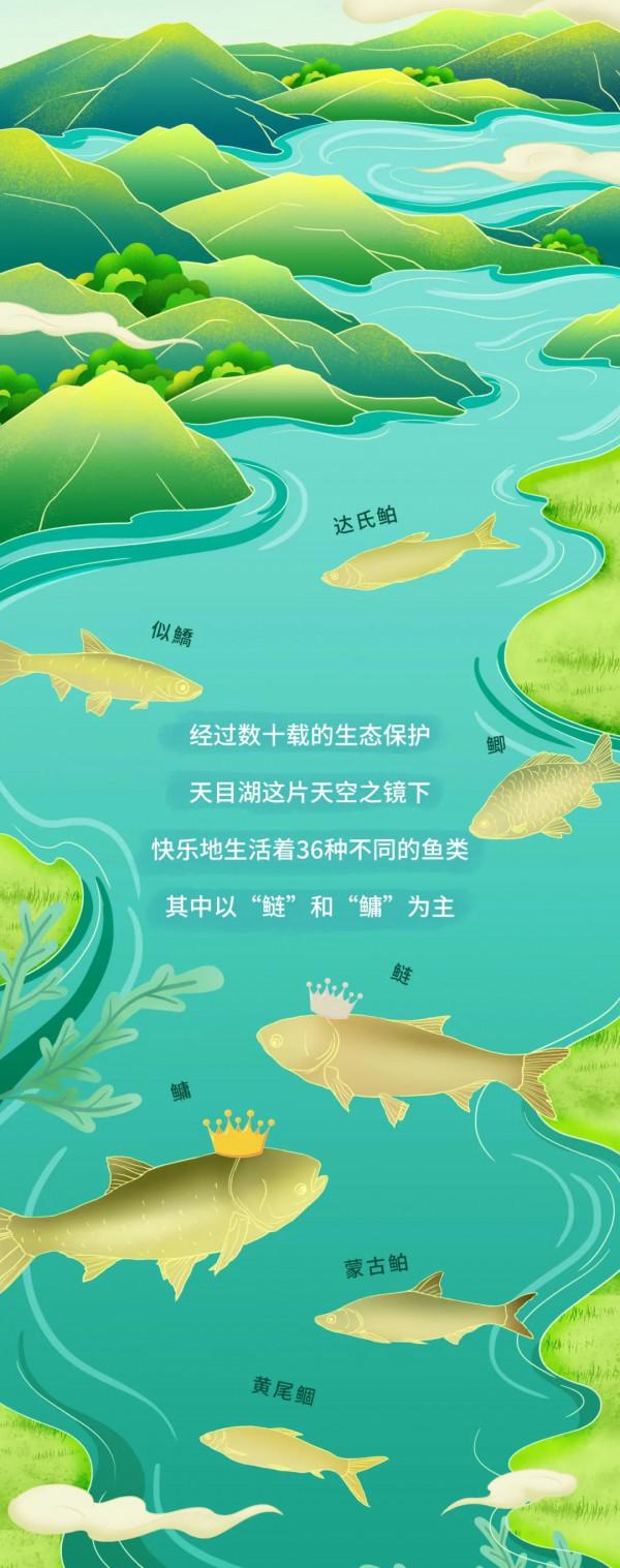 天目湖:《一條胖頭魚的前世今生》 天目湖:《一條胖頭魚的前世今生》