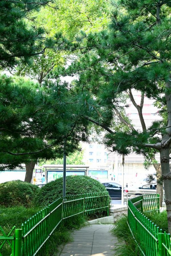 阜城門橋東還有這麼好的小公園，不錯不錯