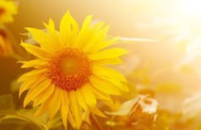 做人要懂得：看人長處，幫人難處，記人好處