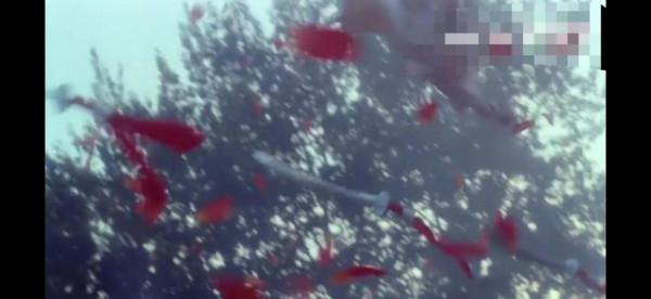 盤點那些剛出場很牛逼，掛的也快的經典配角，文泰來、總舵主99分