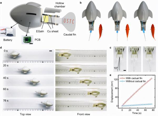 液態金屬人工肌肉驅動的機器魚遊了40分鐘