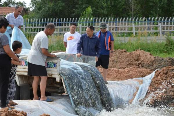 峽山水庫的困局：一年放魚4000萬尾，為何還是“治標不治本”？