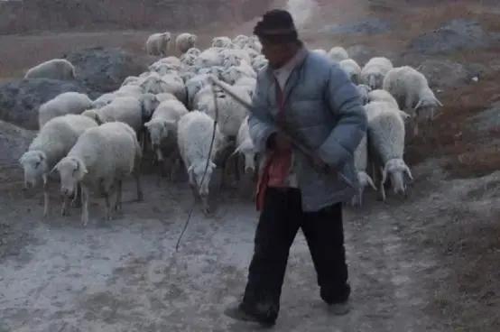 甘肅農民進山洞躲雨時,發現3000年前的西周水壺,裡頭裝有美酒 甘肅農民進山洞躲雨時,發現3000年前的西周水壺,裡頭裝有美酒