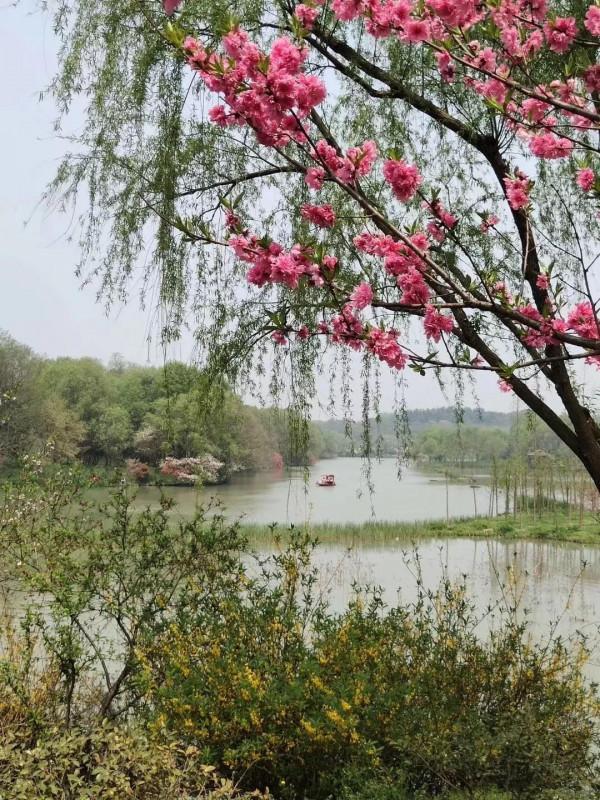 有趣的幼兒故事:我可以乘你的小船嗎? 有趣的幼兒故事:我可以乘你的小船嗎?