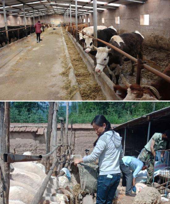 要不要放棄外地的工作回老家?看完這兩個故事,你就有答案了 要不要放棄外地的工作回老家?看完這兩個故事,你就有答案了