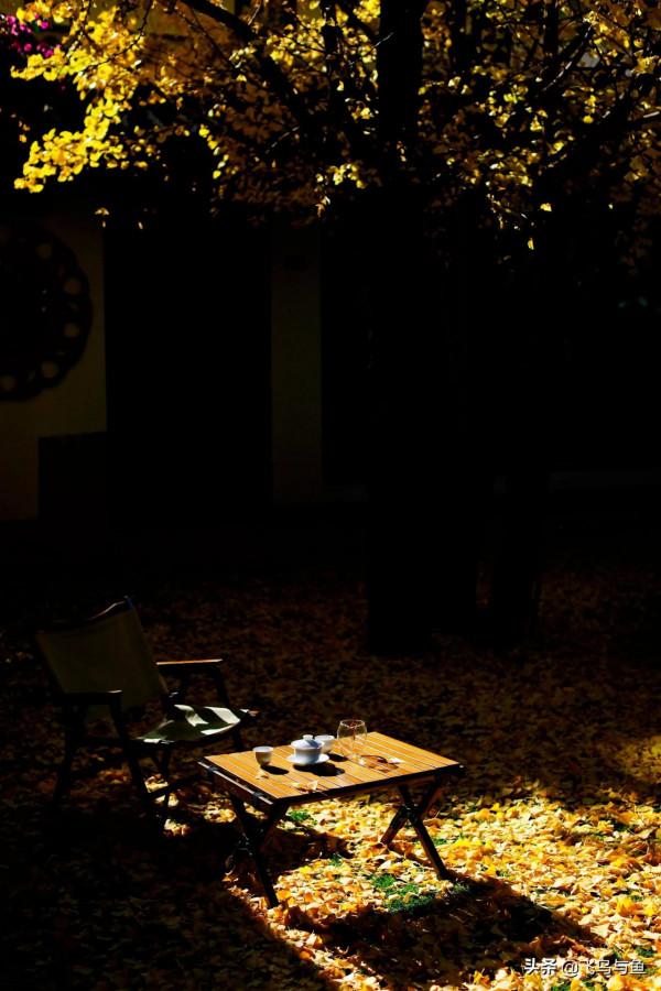 地上不夠耍要上房頂