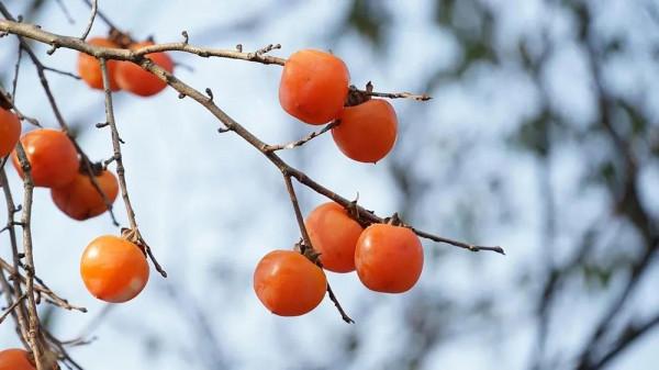 人間清醒:一念放手,便是重生 人間清醒:一念放手,便是重生