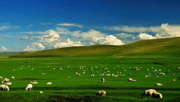 知青回憶錄：那年匆匆返城，拋妻棄子，回城後不如意，痛恨自己