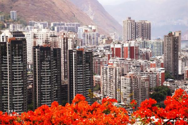 去攀枝花“過冬養老”,是東北人的新發現,比三亞和北海還舒適 去攀枝花“過冬養老”,是東北人的新發現,比三亞和北海還舒適