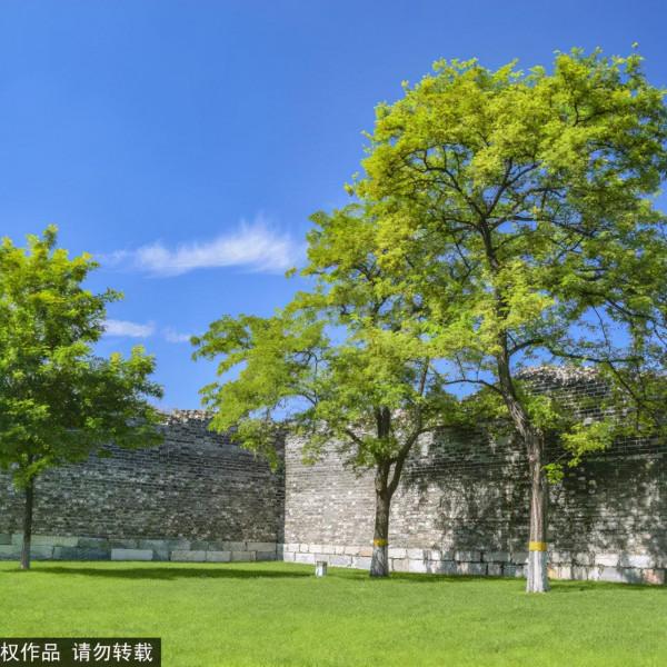 門票？不存在的！北京這些免費遺址公園，您都去過？