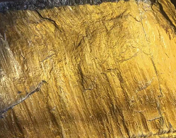 金絲楠木矽化玉