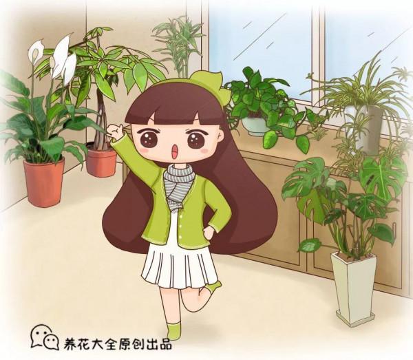 人養花,花也養人,這15種花,越養家裡越乾淨 人養花,花也養人,這15種花,越養家裡越乾淨