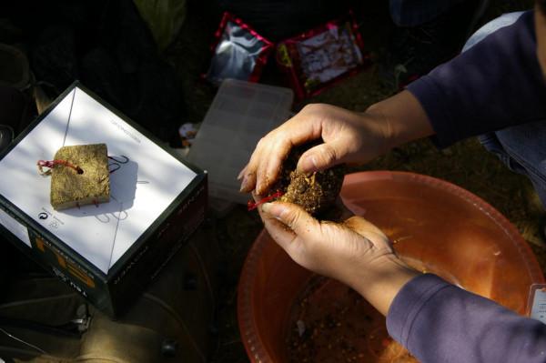 我就納悶了，為啥我費大勁配的餌還沒人家隨手撿的蘆葦葉好用呢？