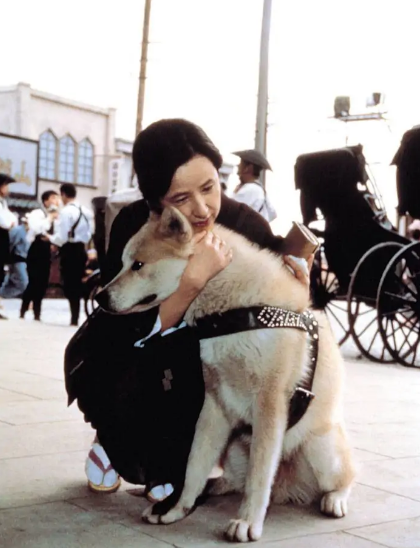 這隻狗狗用一生等待主人歸來，它的事蹟感動了無數人