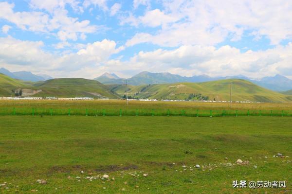 大唐小唐歷險記—返回蜜蜂小鎮加油，邂逅移動中的大唐草原牧歌