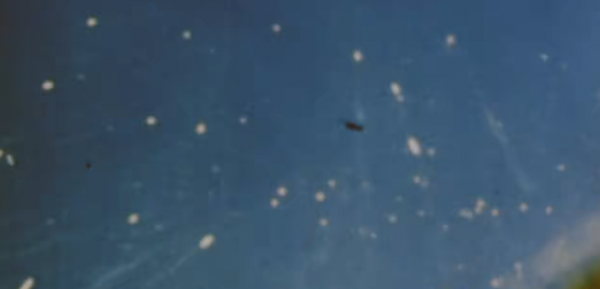 人類最後的大戰場，數十萬日美兩軍慘死在此，美國用核武扭轉局勢