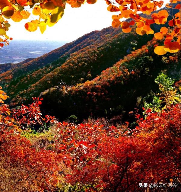 晚秋是什麼顏色的? 晚秋是什麼顏色的?