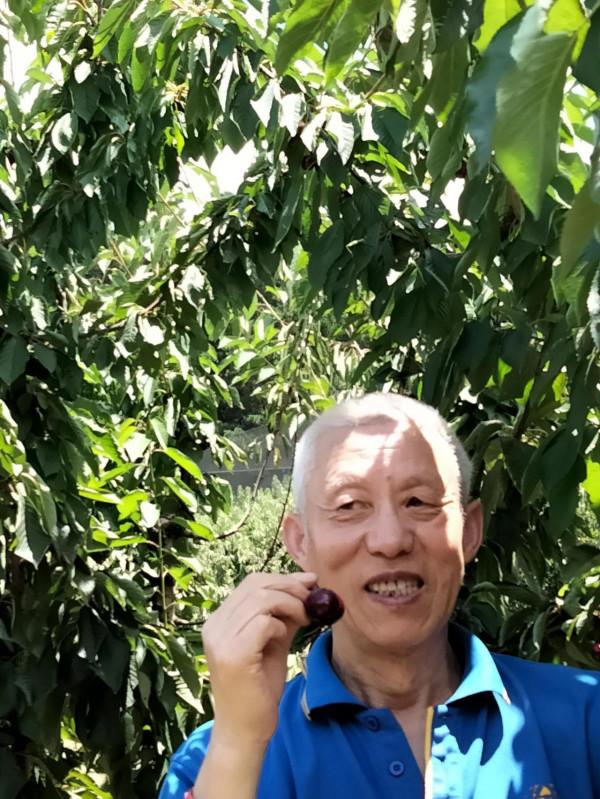 全家歡遊覽，快樂採櫻桃：漢英雙語對照