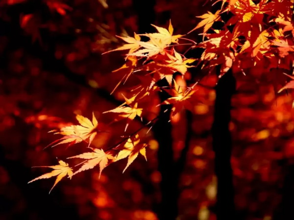 國內10個適合放鬆自己的旅行地，人少景美！疫情過後，就出發