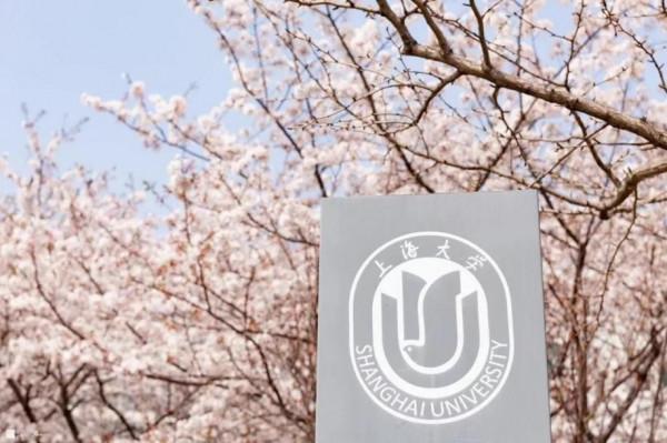 聚焦中國生育率問題！上海大學最新研究成果，引發國際關注！