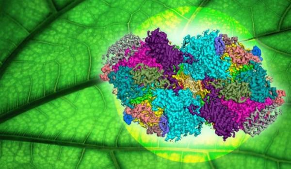 科學家公佈關鍵酶的“藍圖”或包含新合成太陽能燃料催化劑的設計原則