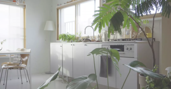 35㎡老破小爆改神作！裝下兩個書房、植物園、三分離衛生間