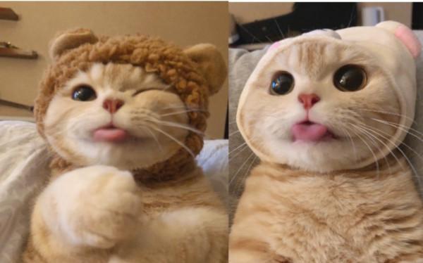 裝修後擔心汙染遲遲不敢入住？三步幫你搞定