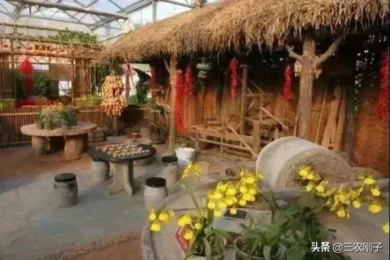 曾經火爆的農家樂今現關門潮,為什麼城市人不來了? 曾經火爆的農家樂今現關門潮,為什麼城市人不來了?