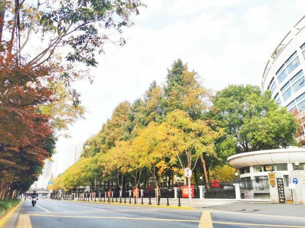 新一波地圖來了~除了北美紅楓和銀杏，普陀還有什麼好看？