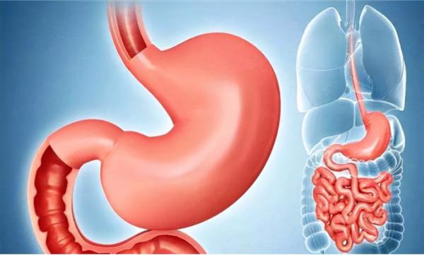 蘿蔔是胃病的“加速器”?提醒:冬季養胃,這3種食物要少吃 蘿蔔是胃病的“加速器”?提醒:冬季養胃,這3種食物要少吃