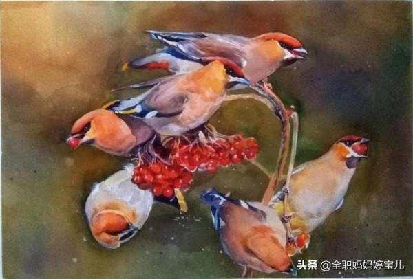 分享——栩栩如生的水彩鳥兒圖